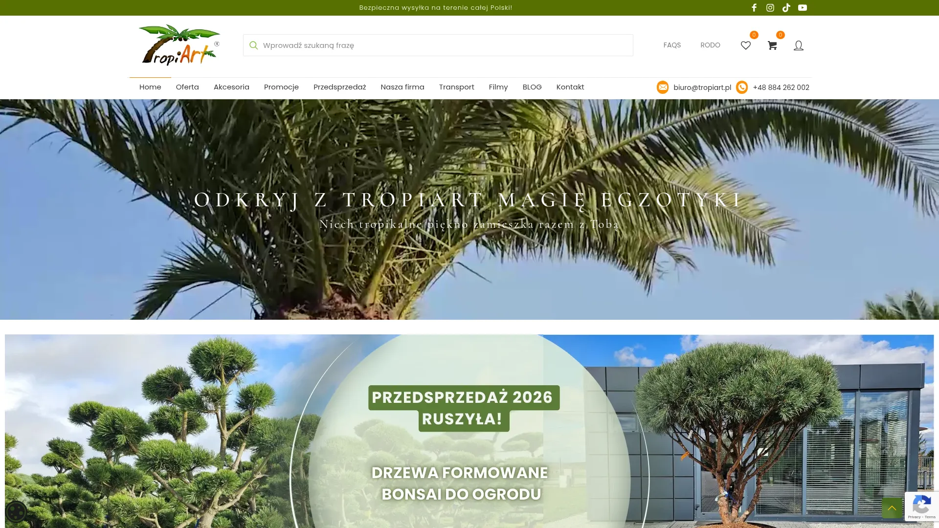 Strona tropiart.pl